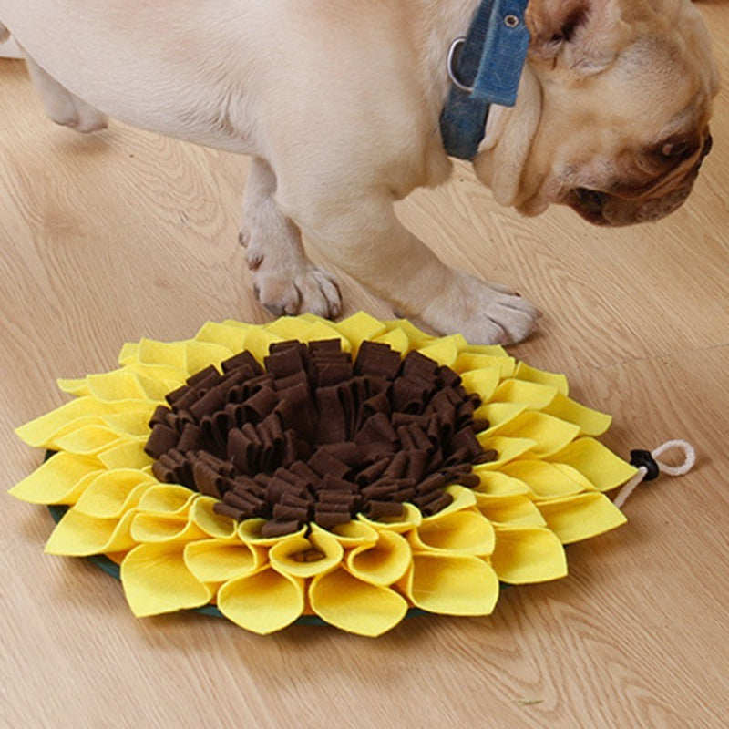 Dog playing with snuffle mat