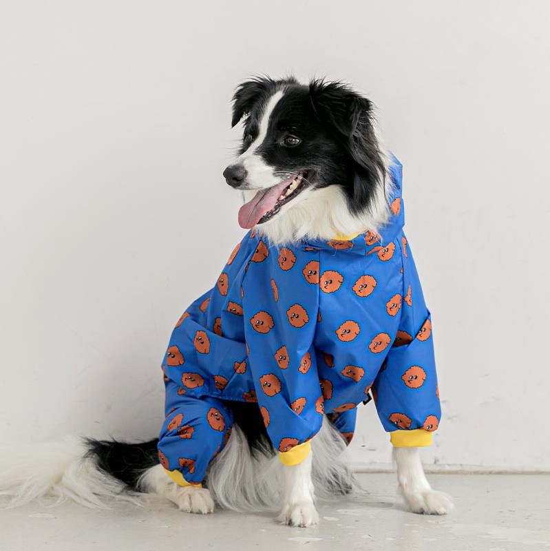 Impermeable para perros a la moda: mantén a tu mascota seca y linda