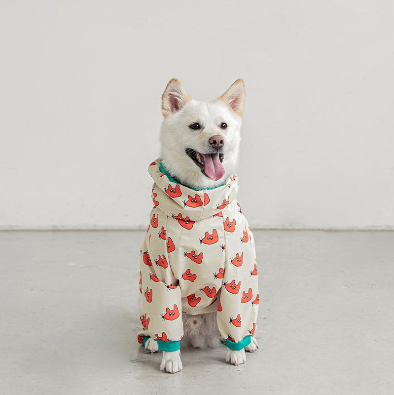 Impermeable para perros a la moda: mantén a tu mascota seca y linda