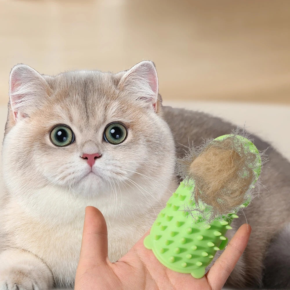 Griffoir mural pour chat – Toilettage, griffade et jeu
